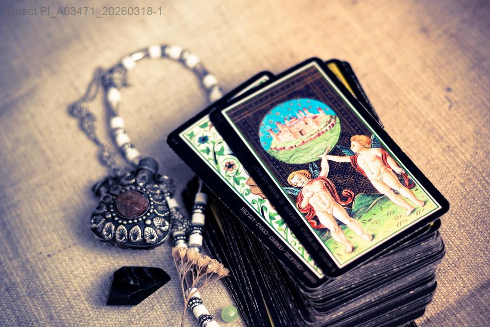 當十二生肖遇上命運的轉角：誰能預測你的2025驚喜與挑戰？產品圖